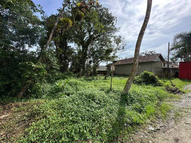 #468 - Terreno para Venda em Matinhos - PR - 3