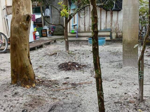 Terreno para Venda em Matinhos - 4